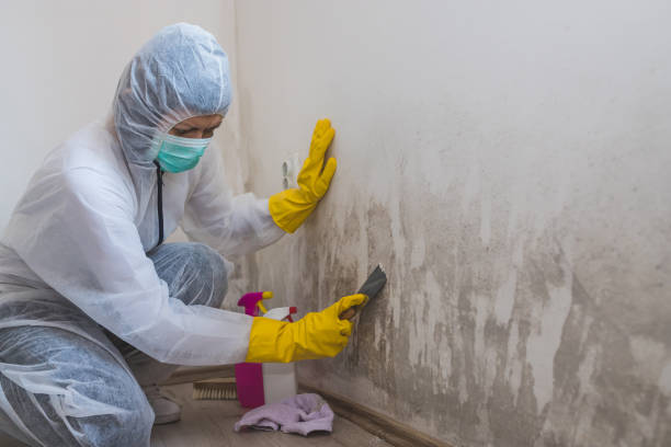 Best Residential Mold Removal  in Lake Of The Pines, CA