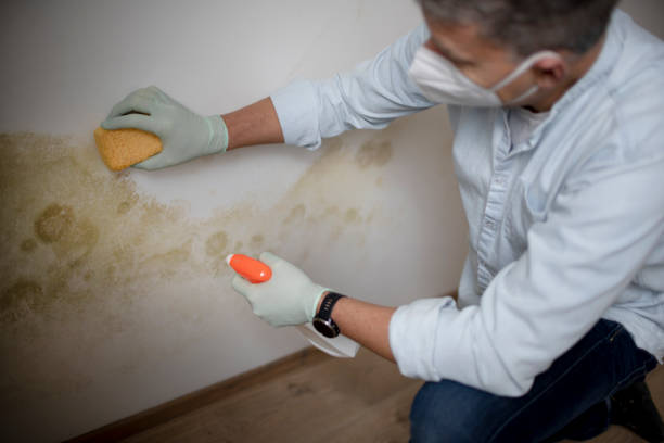 Crawl Space Mold Removal in Lake Of The Pines, CA