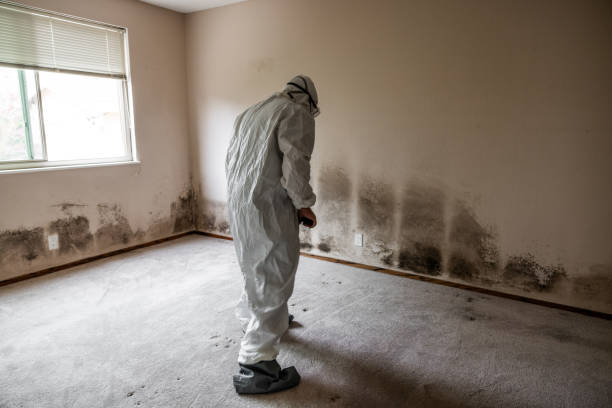 Best Mold Cleaning Services  in Lake Of The Pines, CA