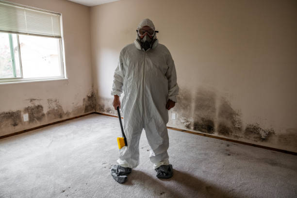 Mold Removal Process in Lake Of The Pines, CA